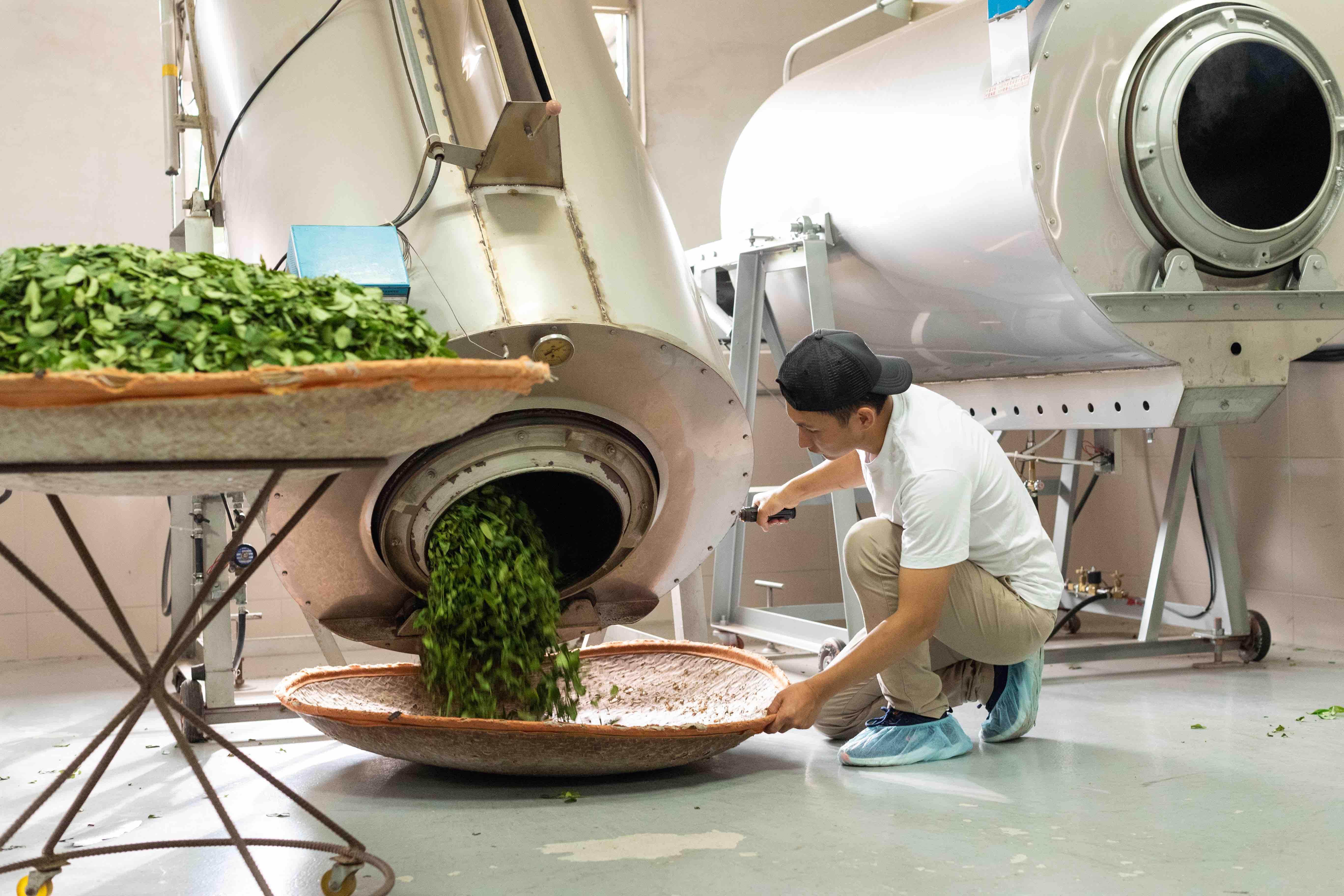 森茶旅⌇超過15場茶山私房體驗開放報名中.ᐟ